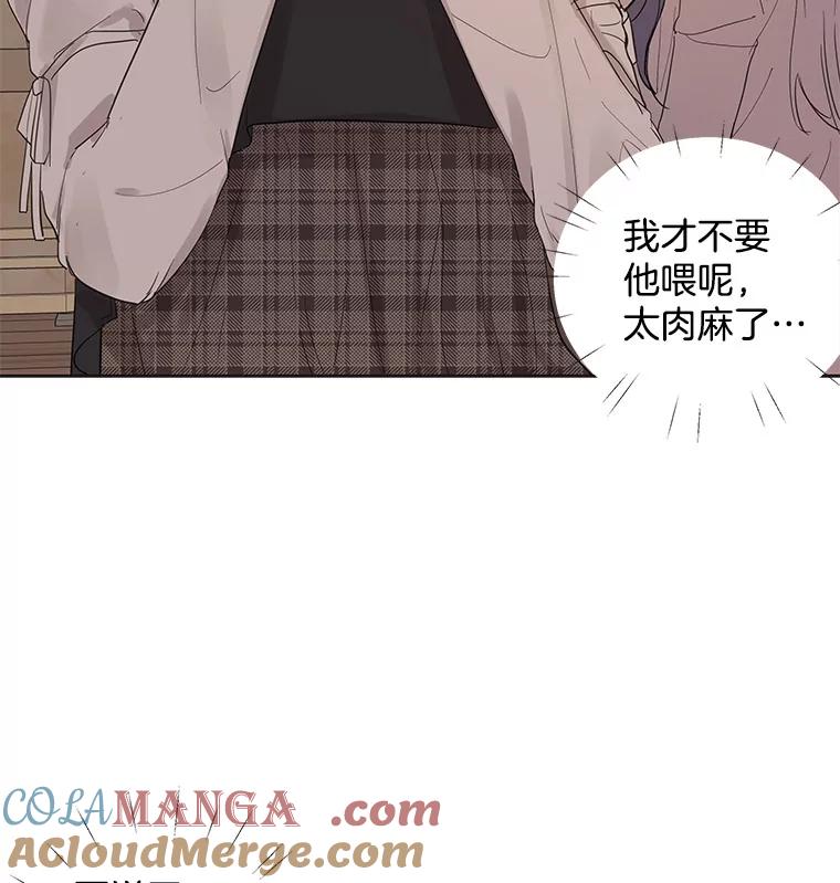 《仙女的惩罚》35.我从来没有讨厌过你 第21页