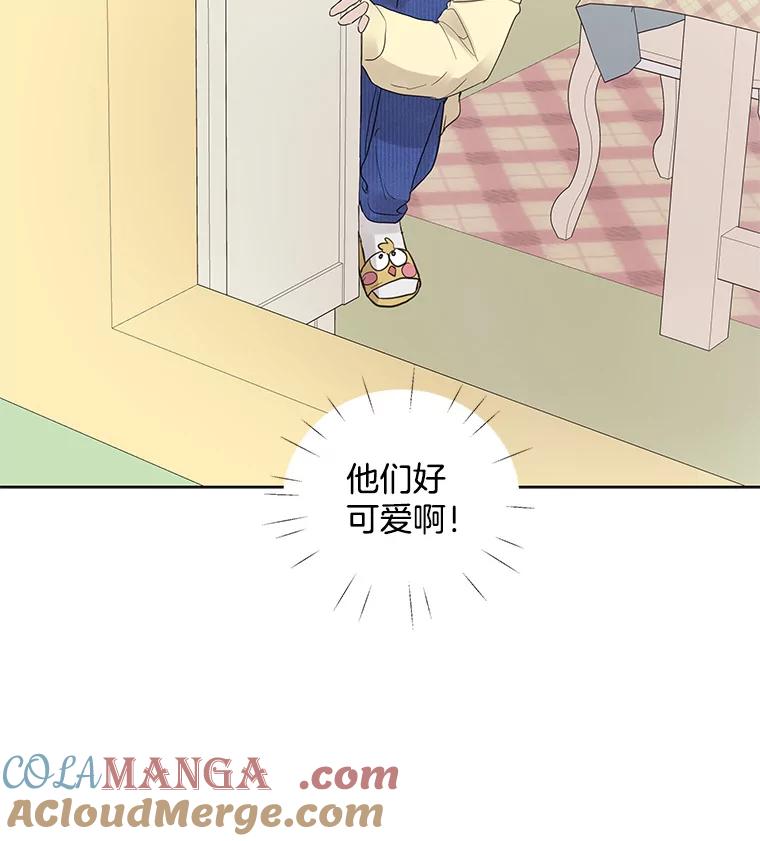 《仙女的惩罚》38.圣诞节公益（2） 第17页
