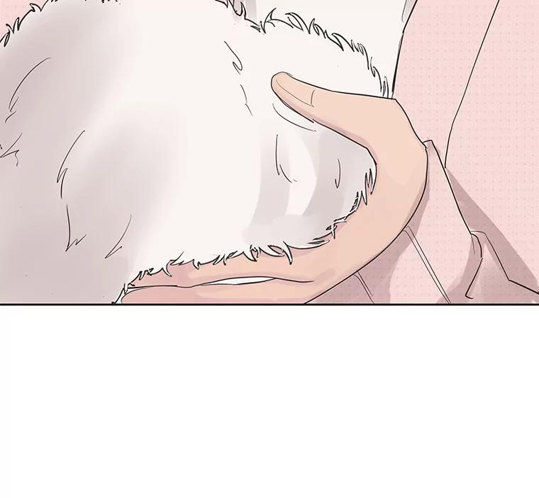 《仙女的惩罚》38.圣诞节公益（2） 第3页