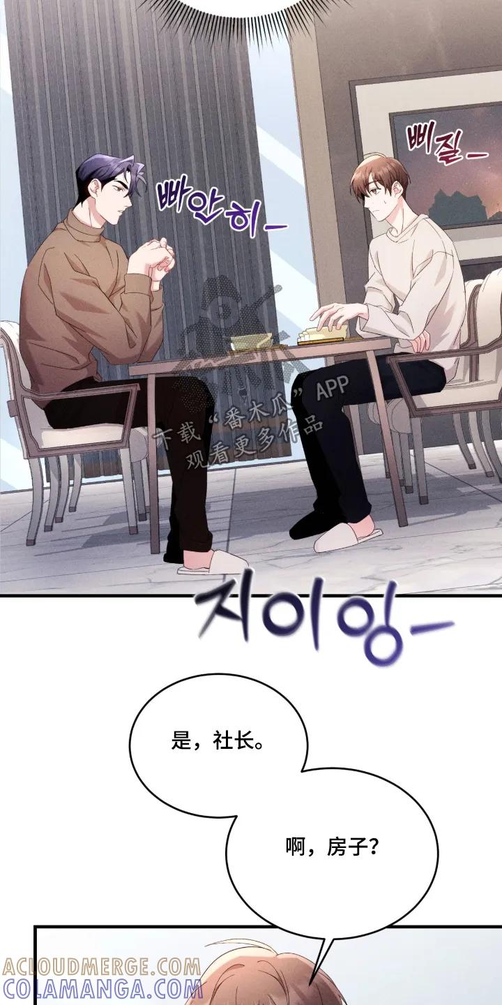 《危情三人戏》第53章：起来吃饭了 第27页