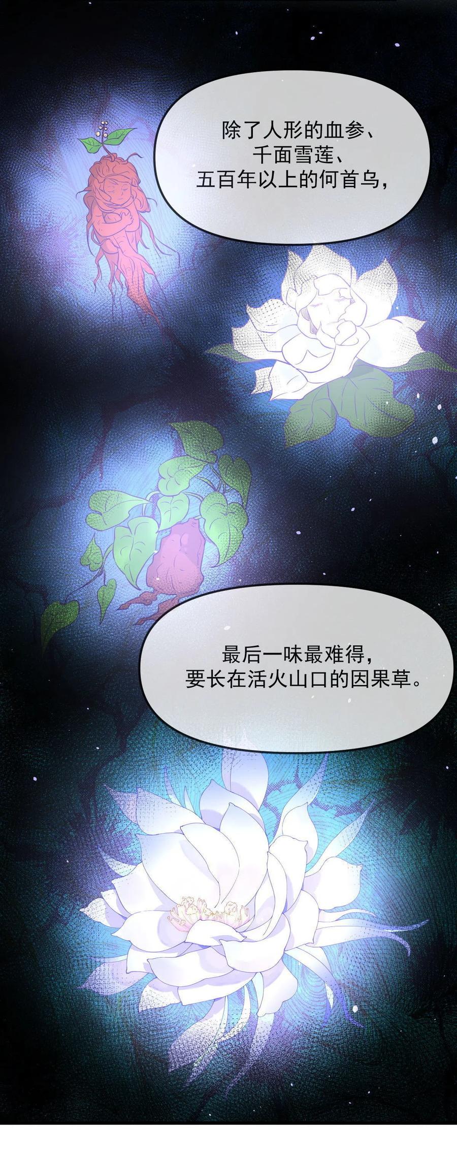 本剑仙绝不吃软饭 第265话 萧、叶合作 第13页