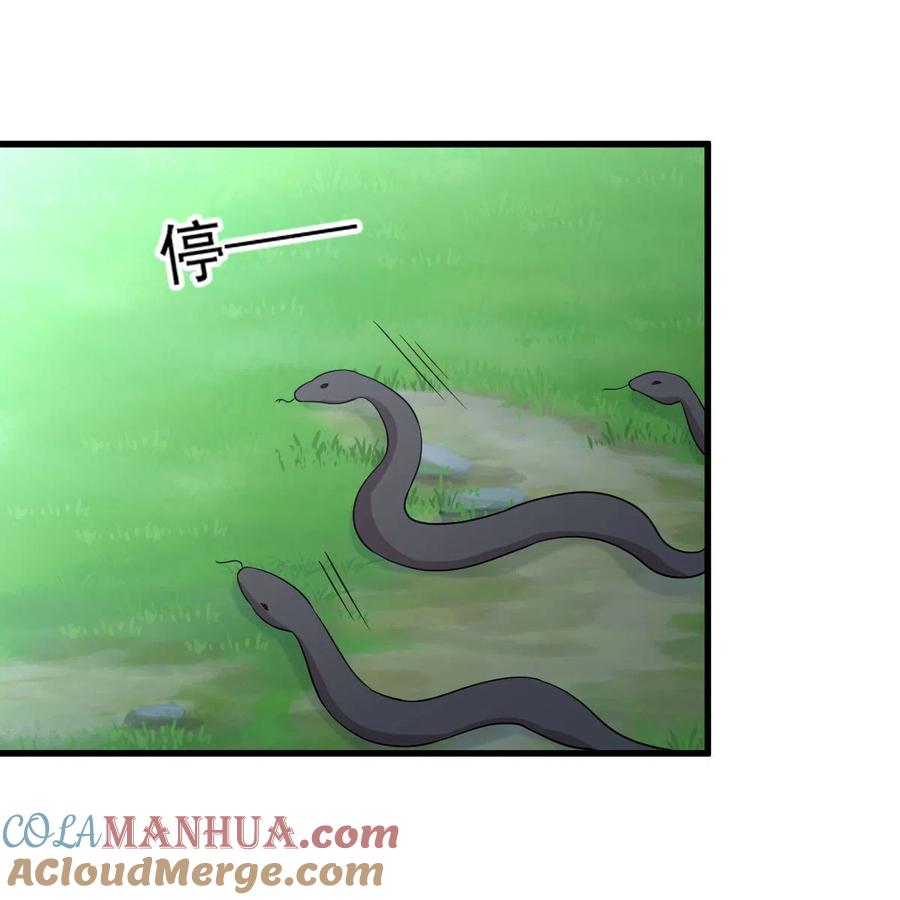 本剑仙绝不吃软饭 第375话 再次对决 第19页