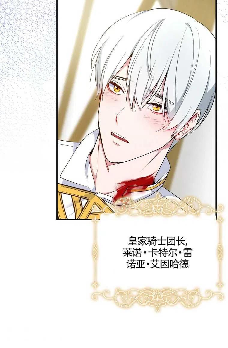 《本想成为忠诚的剑》序章 第47页