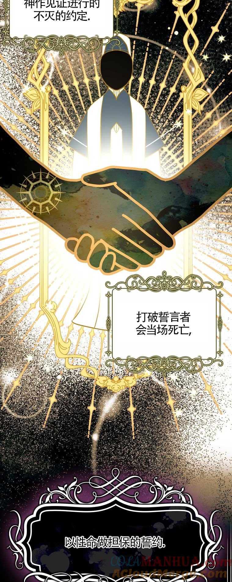 《本想成为忠诚的剑》第29话 第19页