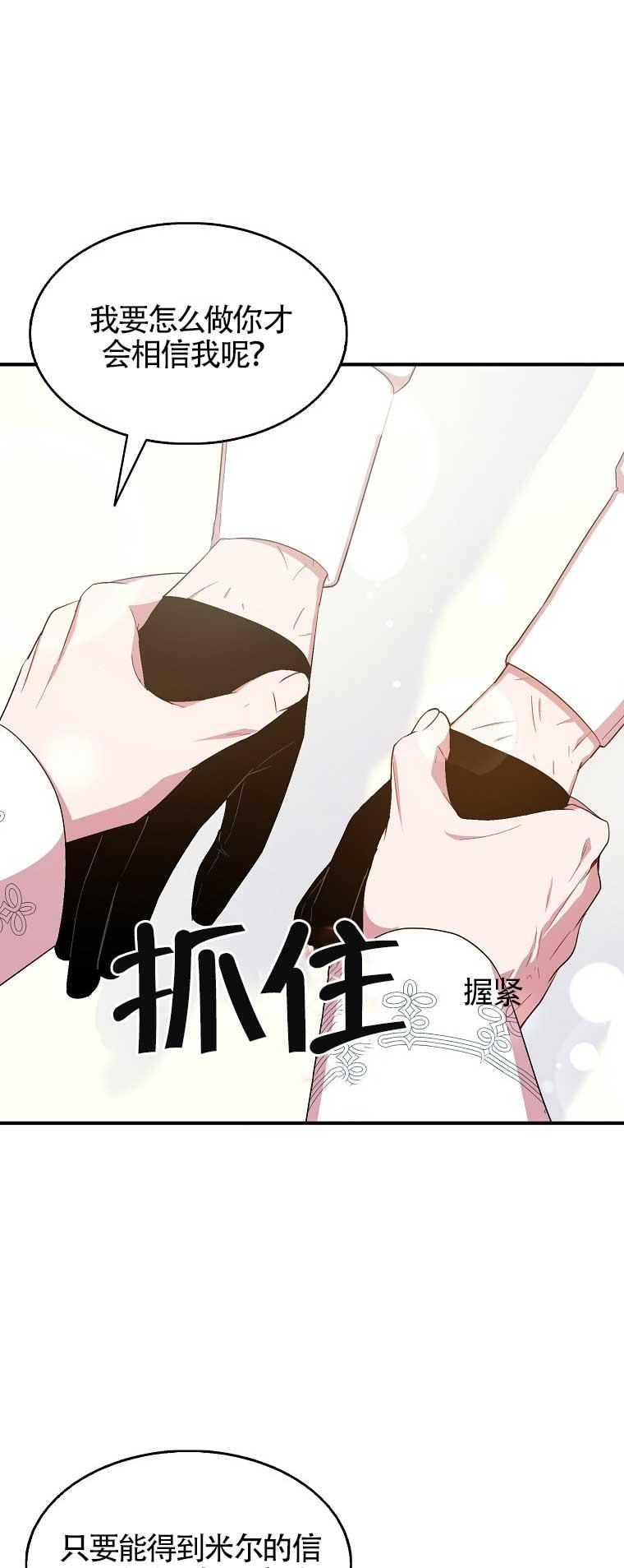 《本想成为忠诚的剑》第29话 第12页