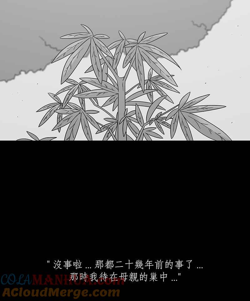 黑盒子 [第206话] 孤芳(3) 第9页