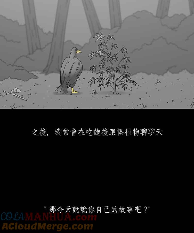 黑盒子 [第206话] 孤芳(3) 第5页