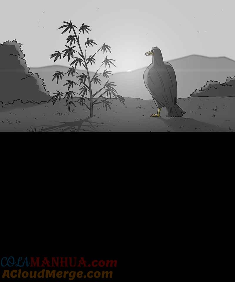 黑盒子 [第206话] 孤芳(3) 第3页