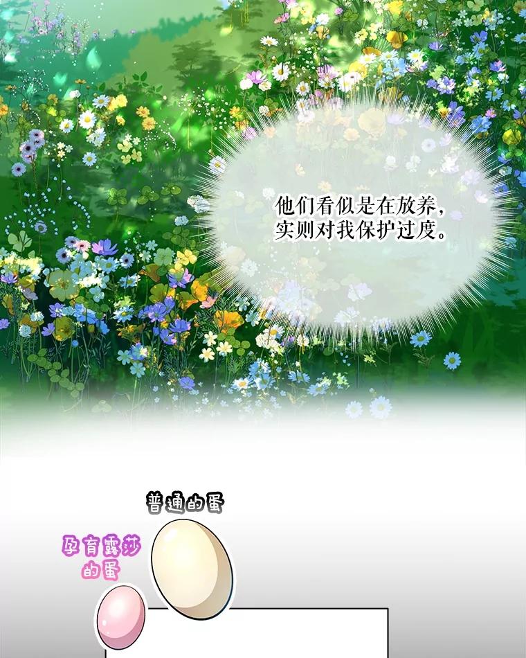 重生为神兽宝宝 - 1.重生成神兽 - 第38张图