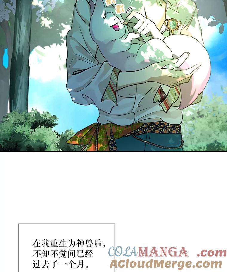 重生为神兽宝宝 - 1.重生成神兽 - 第10张图