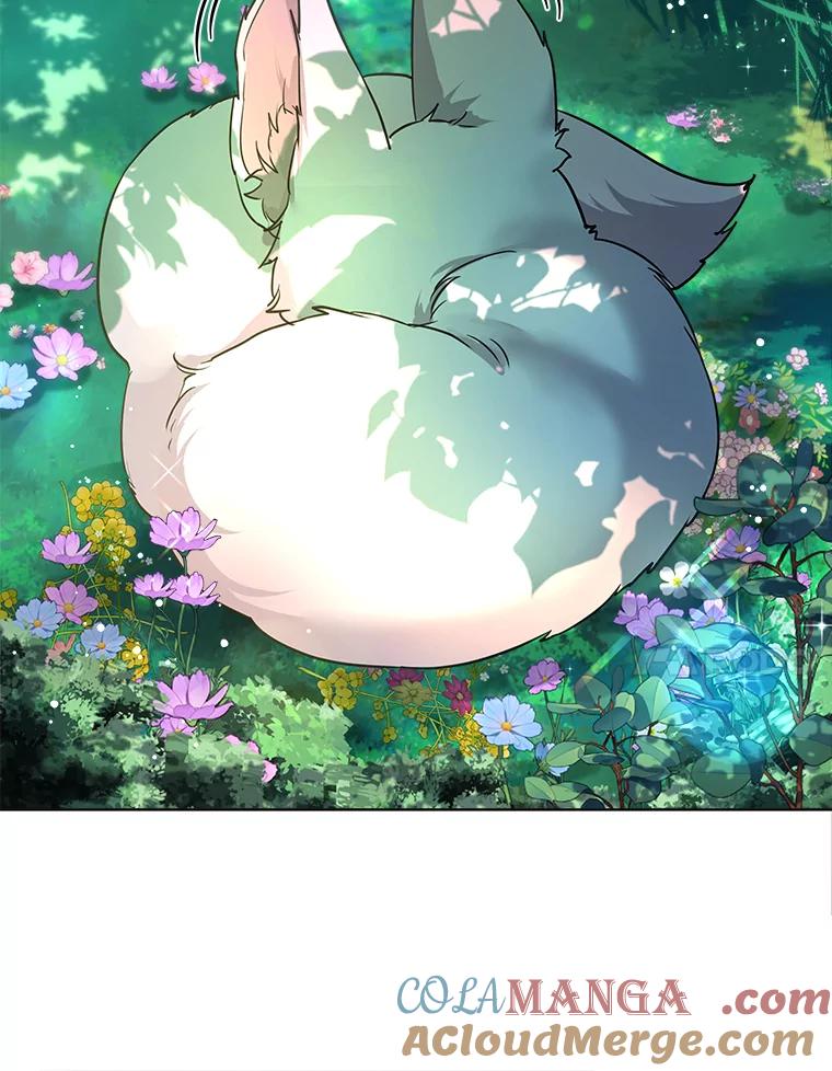 重生为神兽宝宝 - 1.重生成神兽 - 第7张图