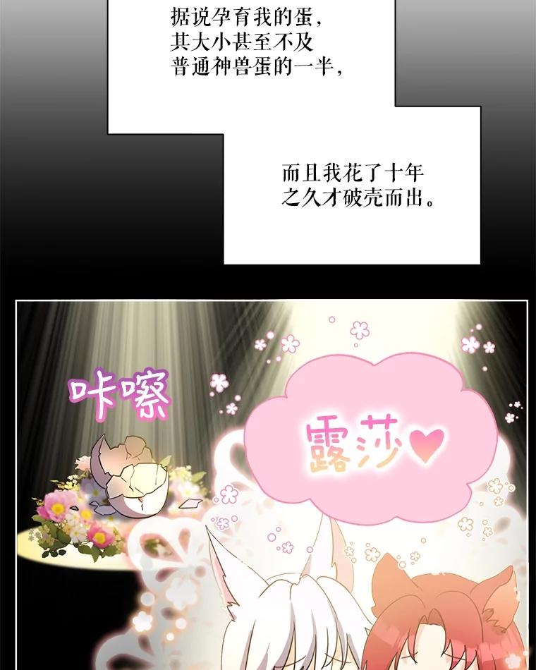 重生为神兽宝宝 - 1.重生成神兽 - 第39张图