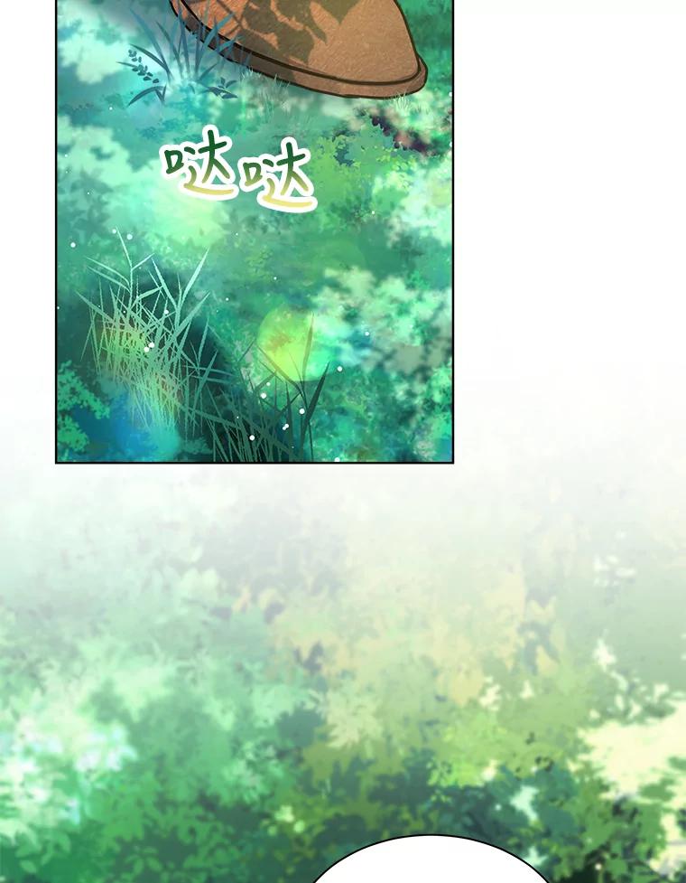 重生为神兽宝宝 - 1.重生成神兽 - 第2张图