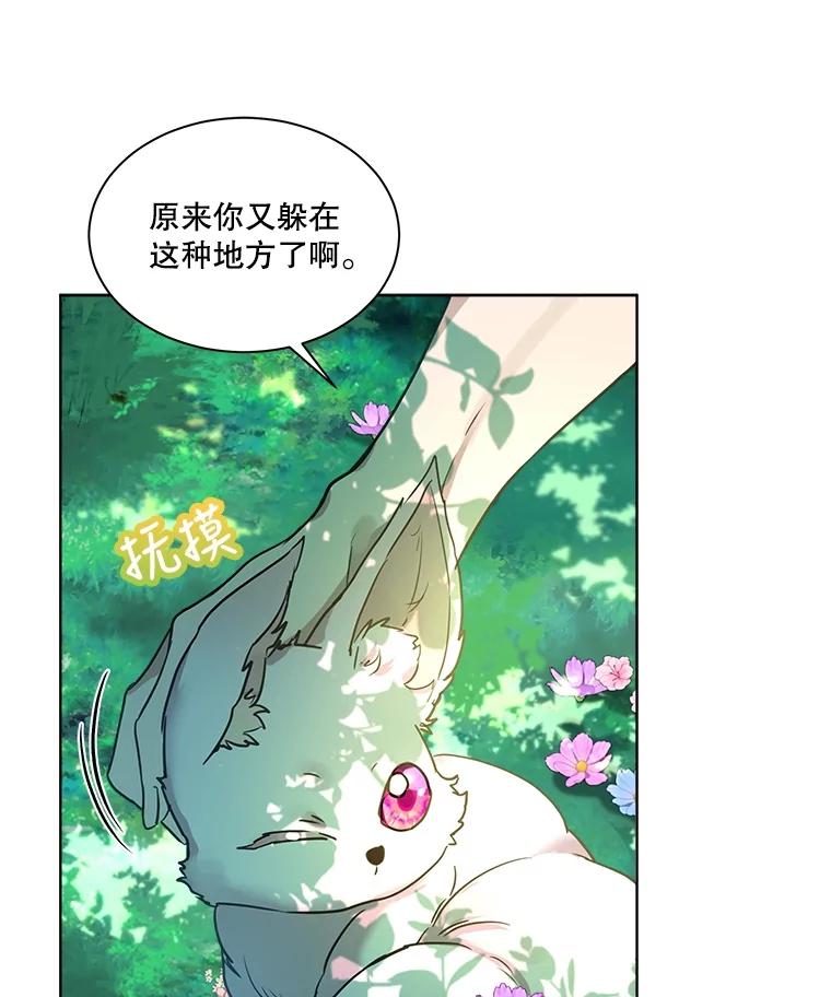 重生为神兽宝宝 - 1.重生成神兽 - 第8张图