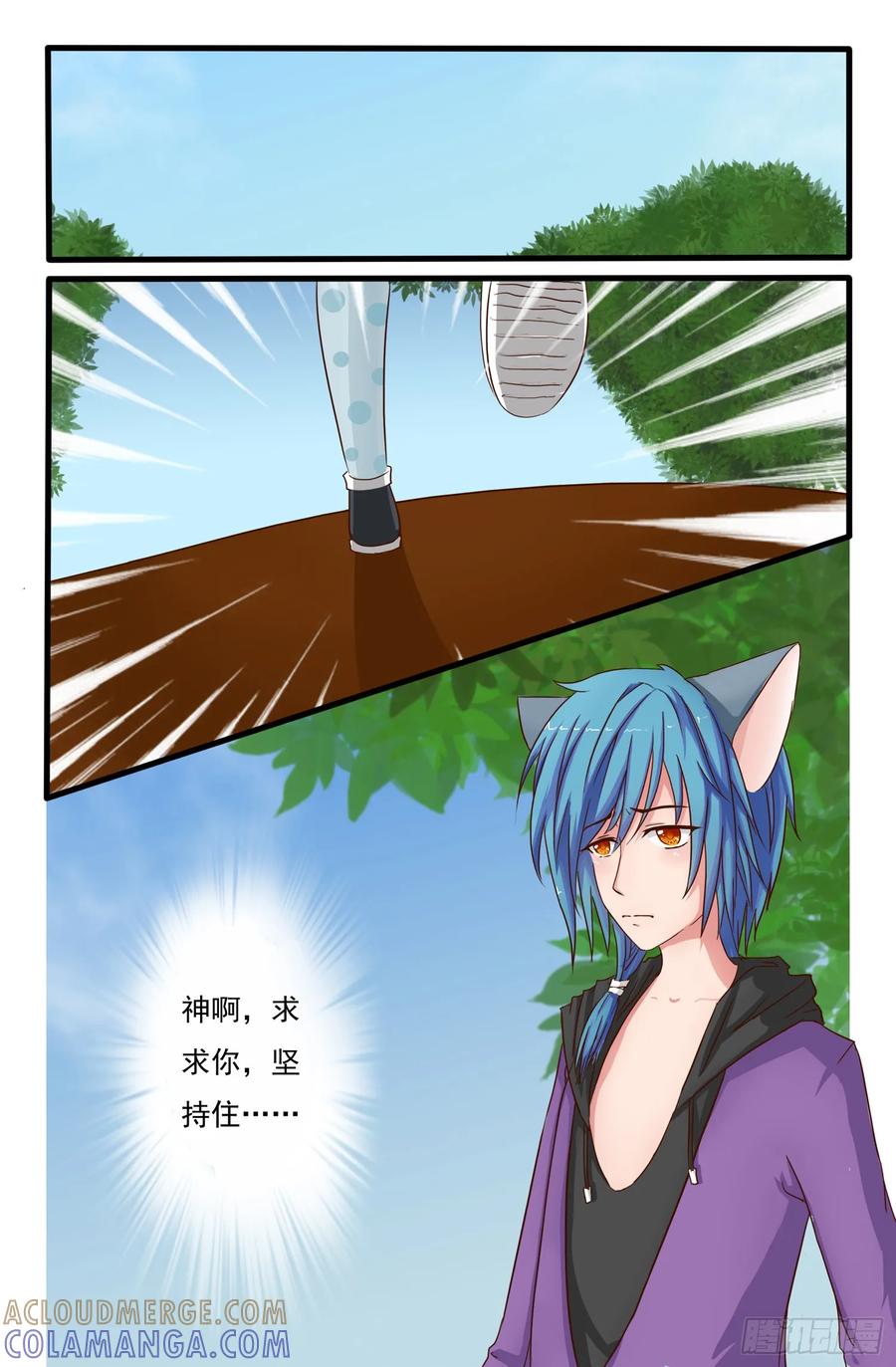《猫咪狐狸闯天下》001.开端 第2页