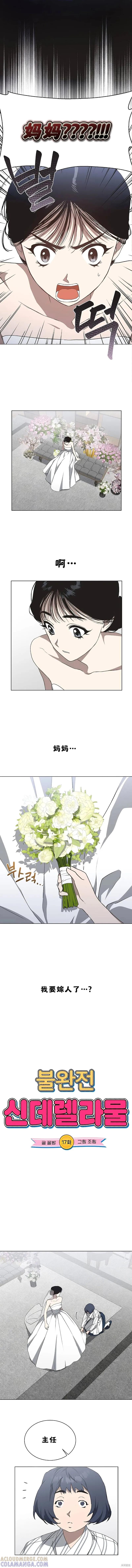 《不完整的灰姑娘》第17话 第2页