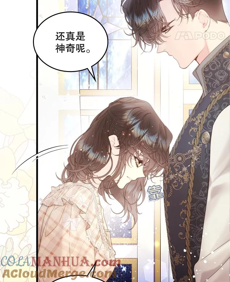 《比阿特丽丝》109.殿下的礼物 第25页