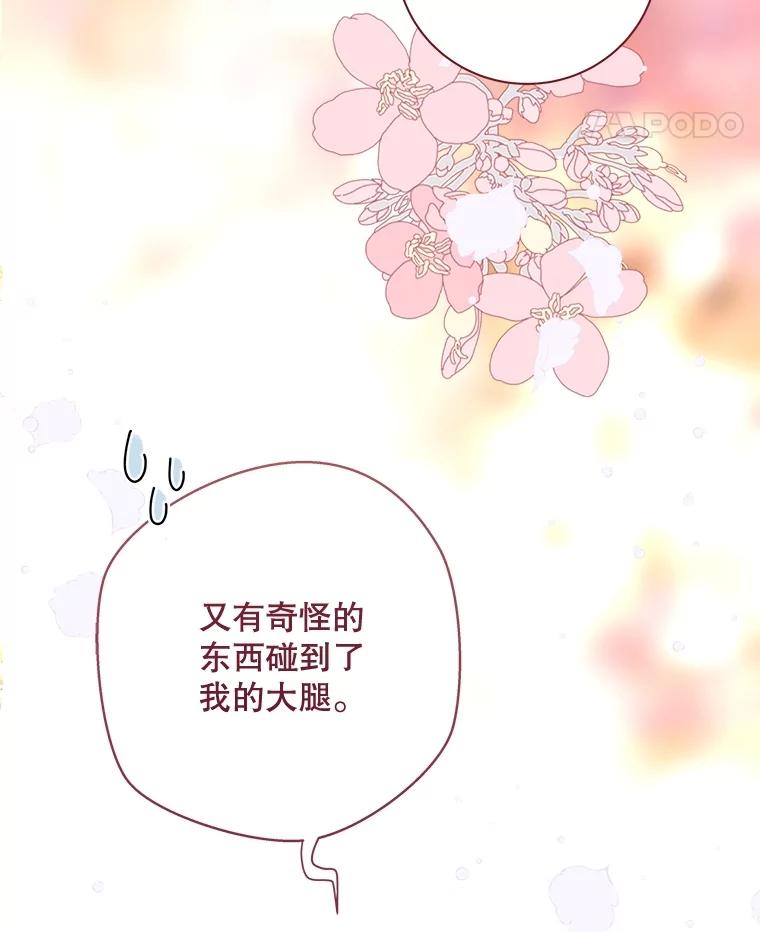 《比阿特丽丝》116.重大决定 第38页