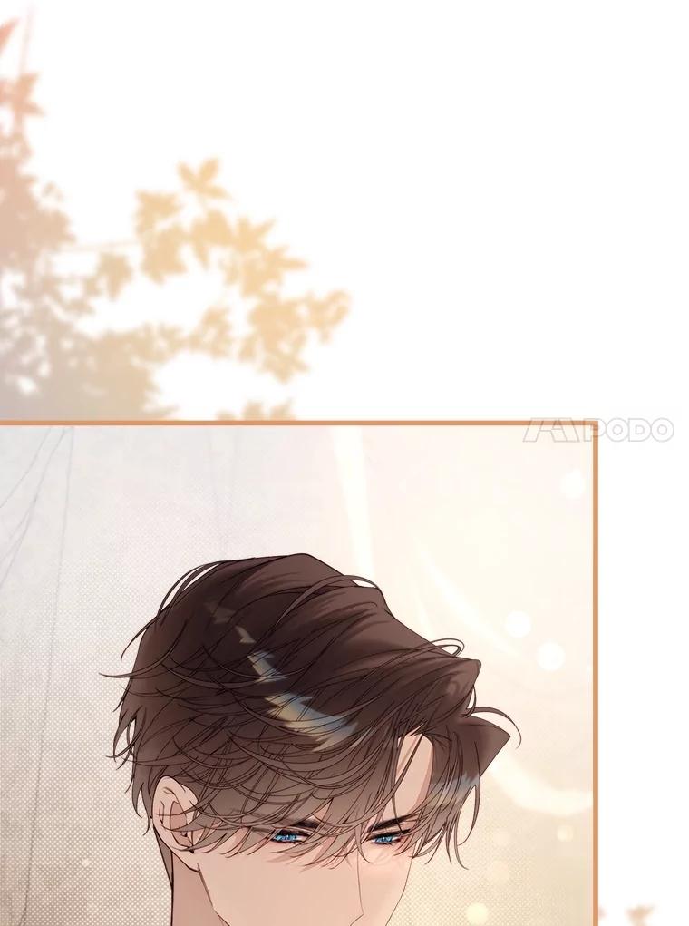《比阿特丽丝》121.马车争吵 第44页