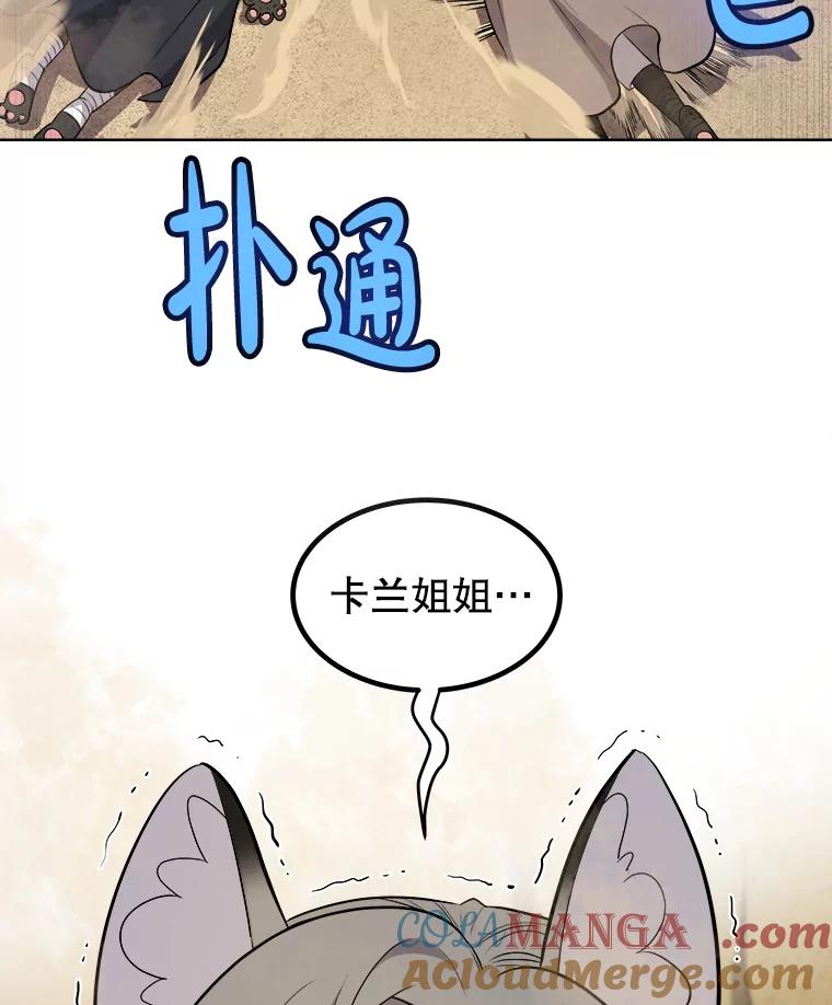 《被圣剑选择的少年》125.猫族拦路 第117页