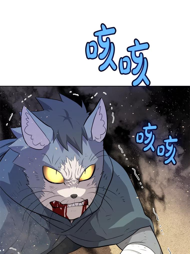 《被圣剑选择的少年》125.猫族拦路 第120页