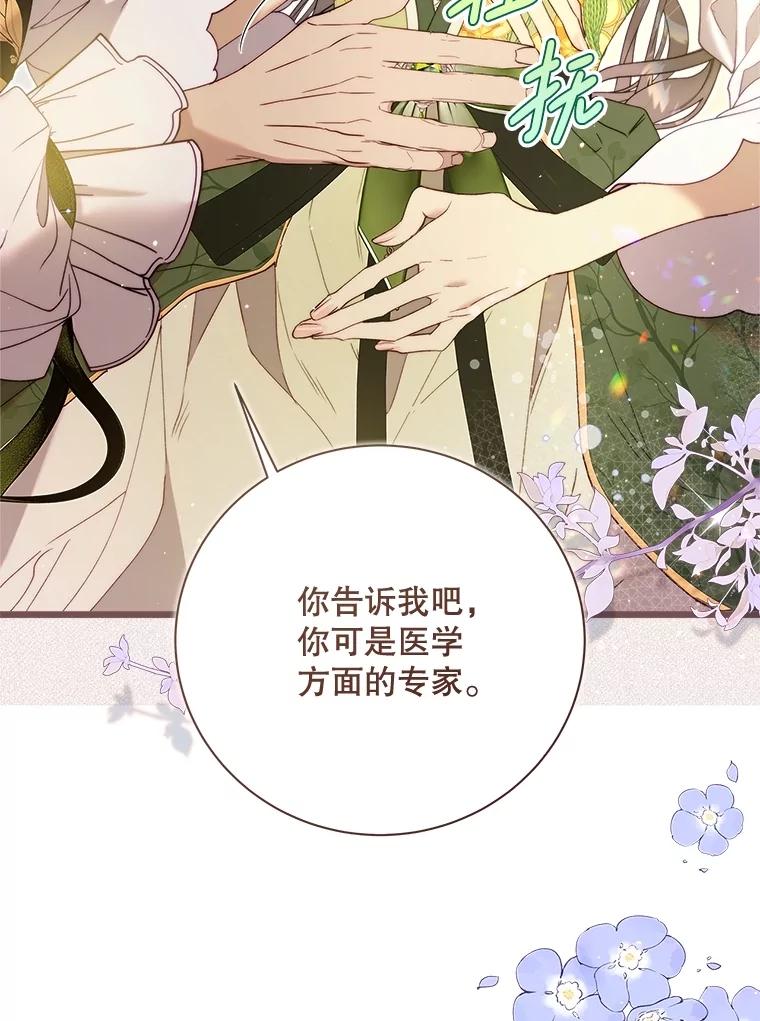 《比阿特丽丝》128.前往王宫 第71页