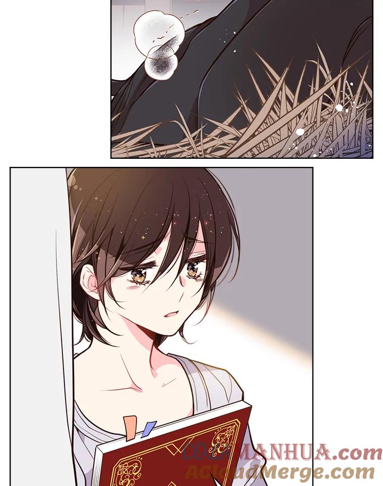 《比阿特丽丝》11.坠马事件 第52页