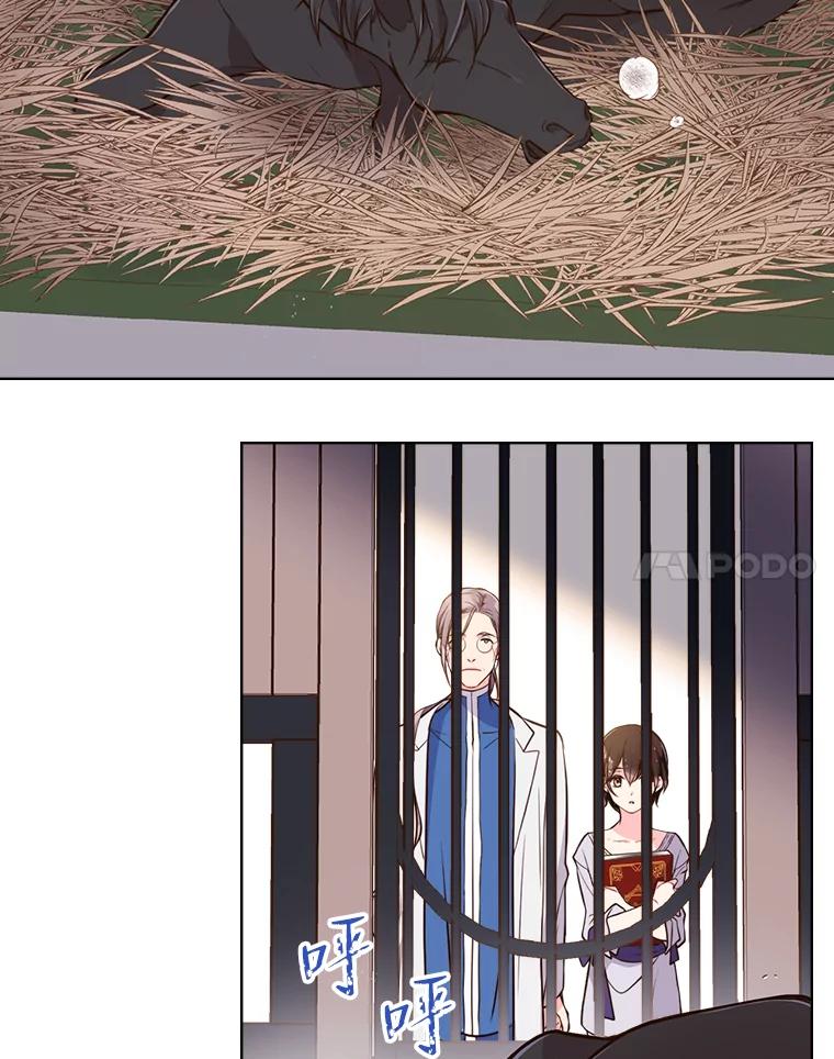 《比阿特丽丝》11.坠马事件 第51页