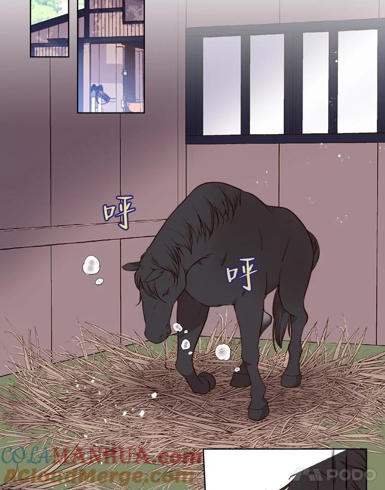 《比阿特丽丝》11.坠马事件 第28页