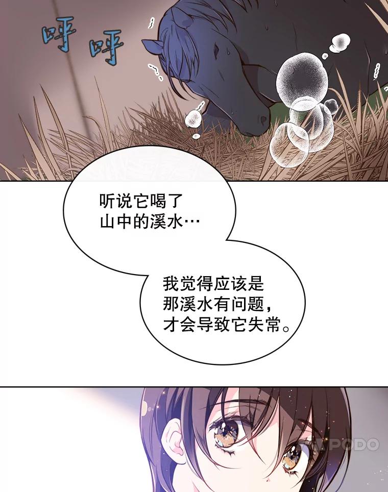 《比阿特丽丝》11.坠马事件 第54页