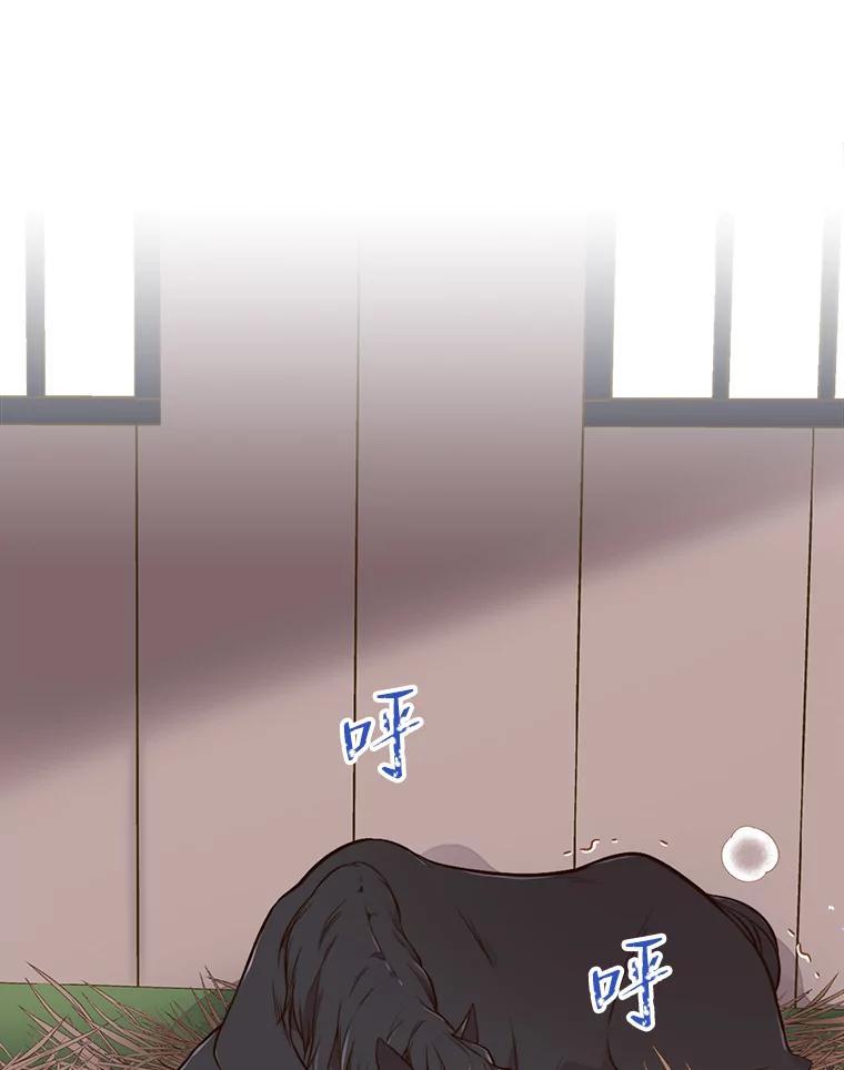 《比阿特丽丝》11.坠马事件 第50页