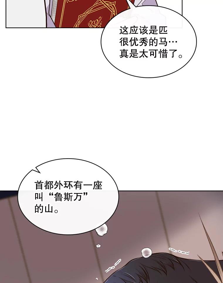 《比阿特丽丝》11.坠马事件 第53页