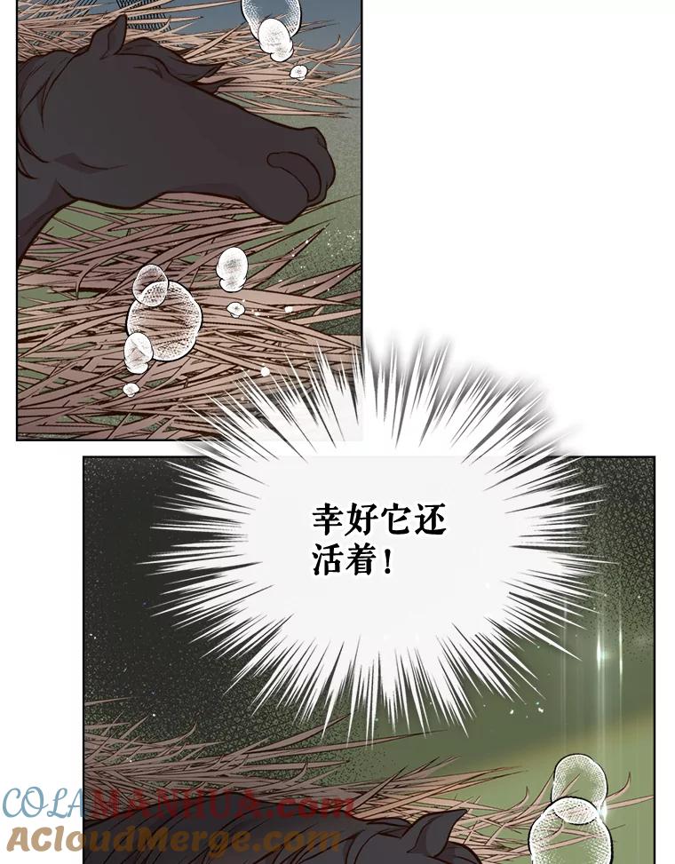 《比阿特丽丝》12.采草药的小姑娘 第55页