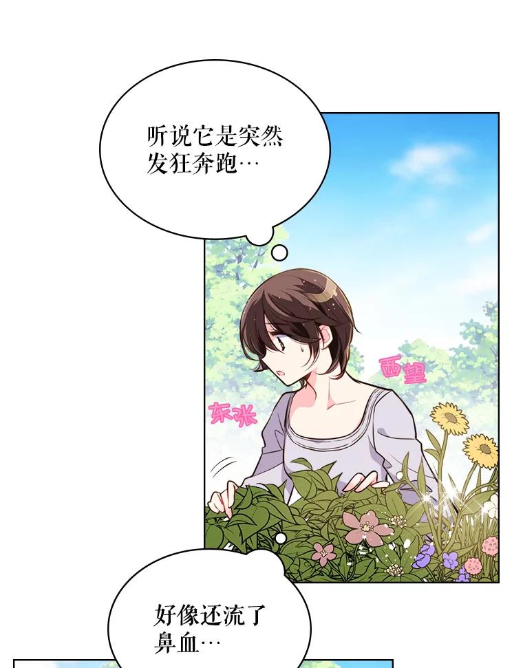 《比阿特丽丝》12.采草药的小姑娘 第14页
