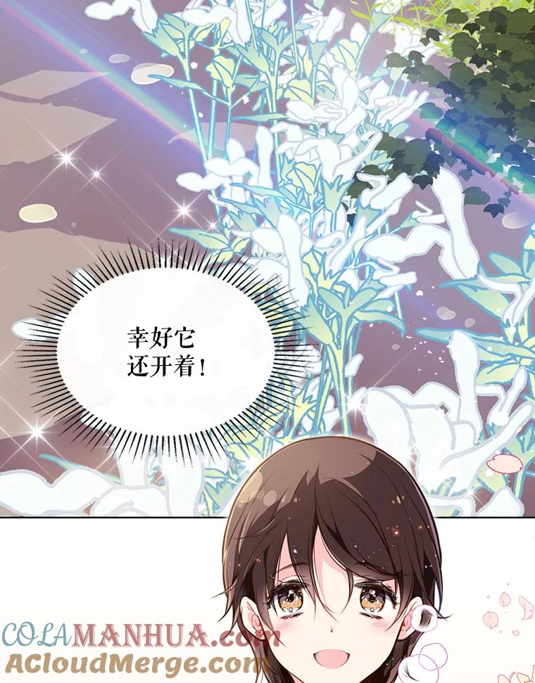 《比阿特丽丝》12.采草药的小姑娘 第22页