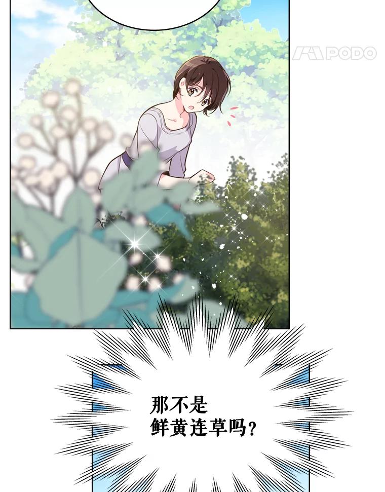《比阿特丽丝》12.采草药的小姑娘 第15页