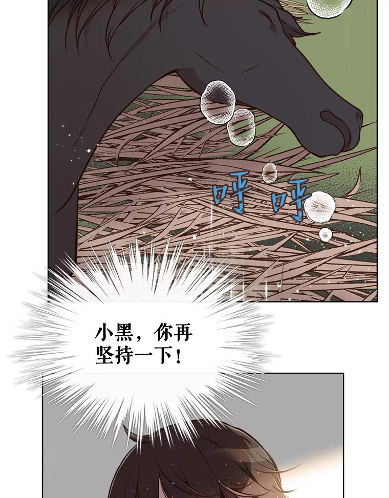 《比阿特丽丝》12.采草药的小姑娘 第56页