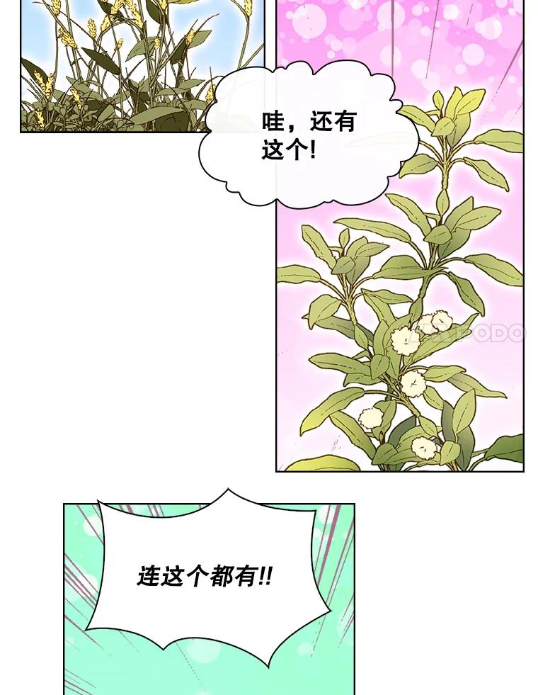 《比阿特丽丝》12.采草药的小姑娘 第8页