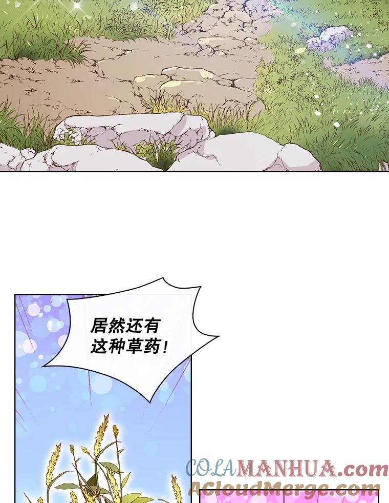 《比阿特丽丝》12.采草药的小姑娘 第7页