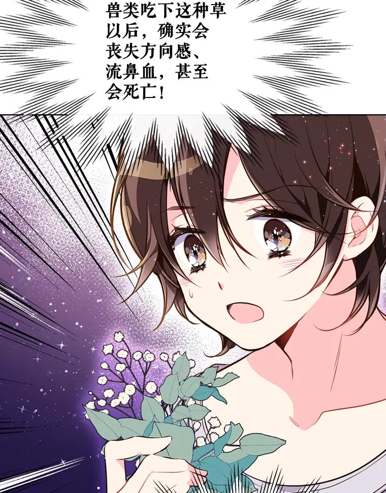 《比阿特丽丝》12.采草药的小姑娘 第17页