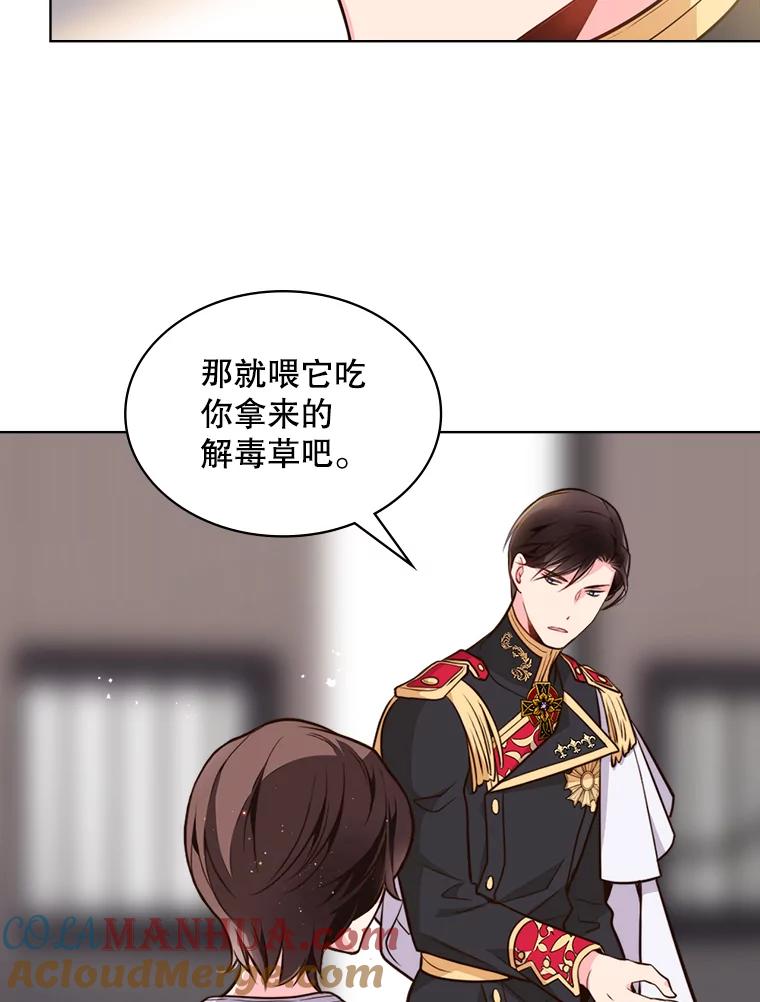 《比阿特丽丝》13.治疗小黑 第46页