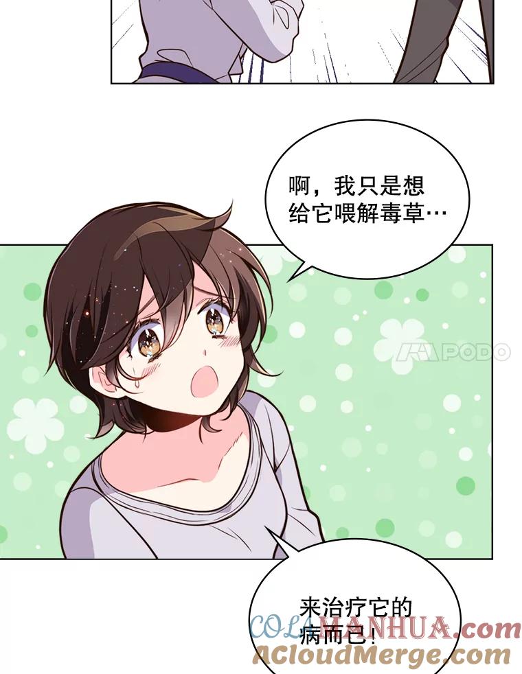《比阿特丽丝》13.治疗小黑 第25页