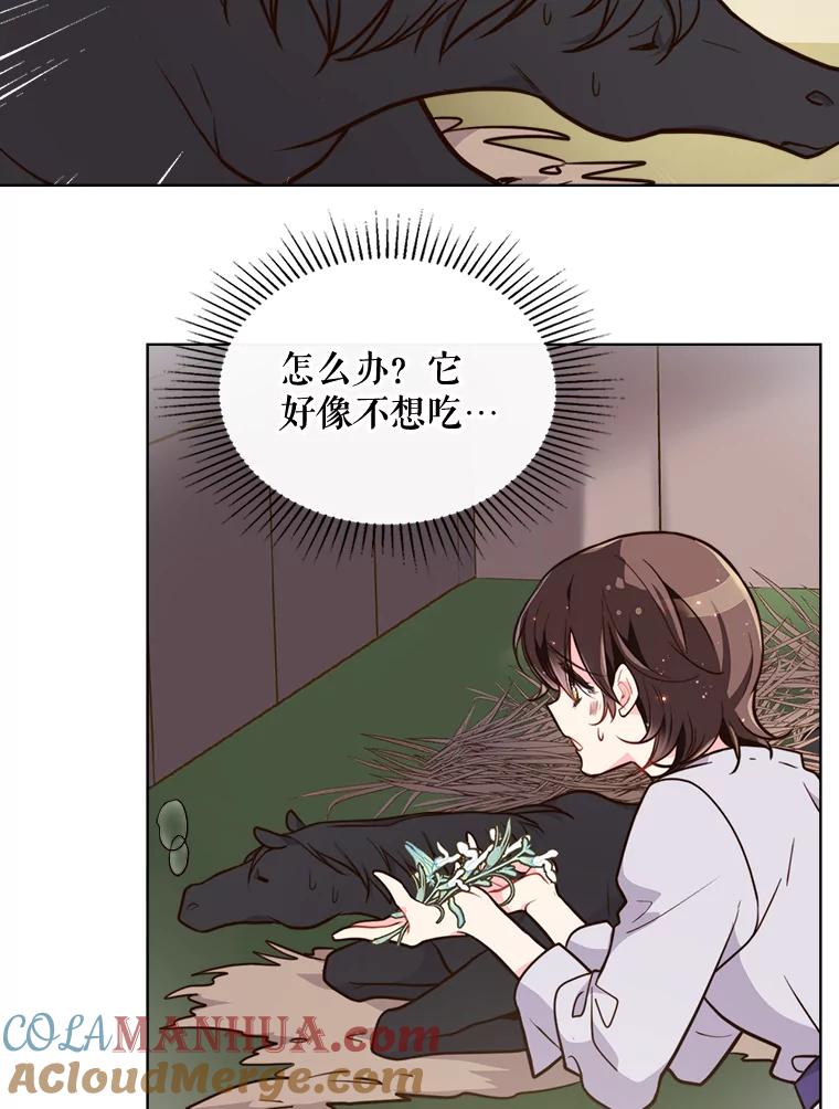 《比阿特丽丝》14.订婚 第4页