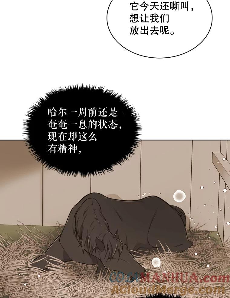 《比阿特丽丝》18.奇怪的她 第37页