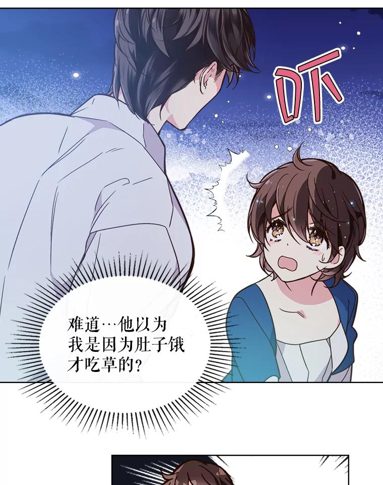 《比阿特丽丝》25.一个水壶 第11页