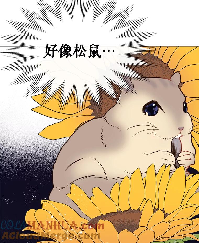《比阿特丽丝》28.俊俏的男孩子 第13页