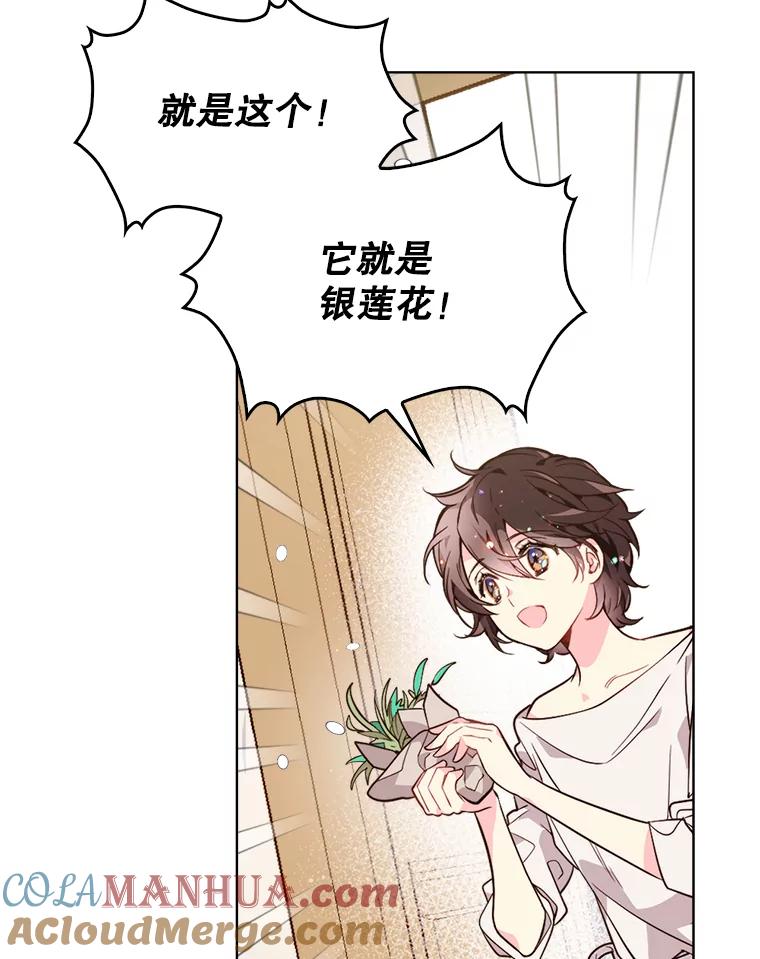 《比阿特丽丝》33.毒杀事件（2） 第25页