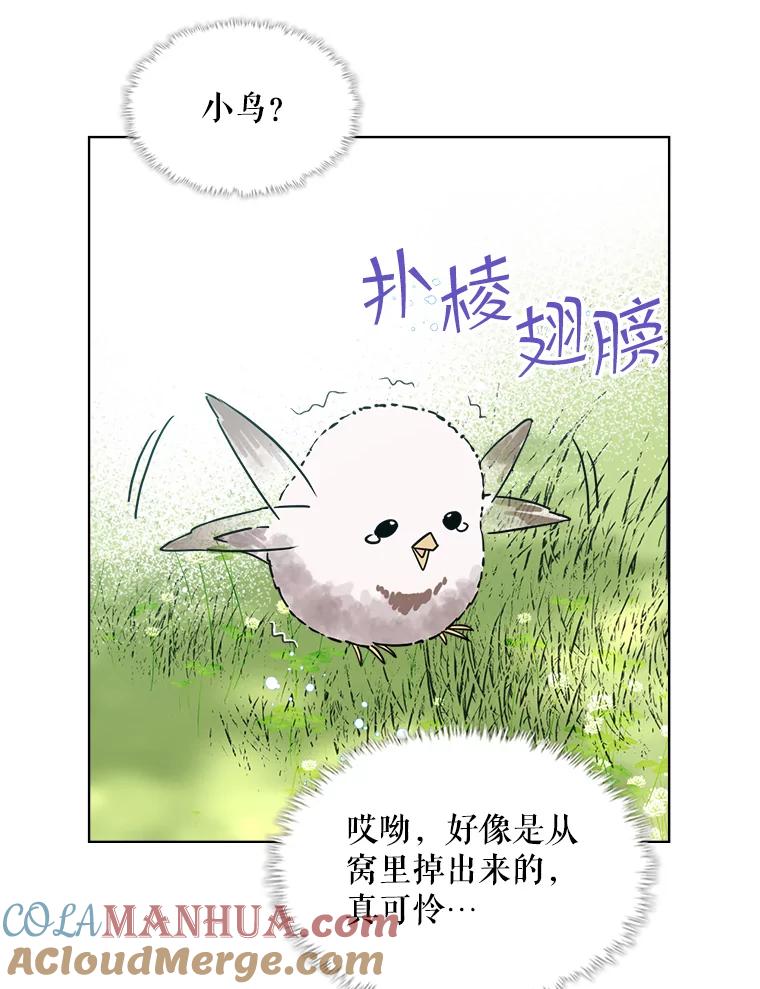 《比阿特丽丝》36.他的微笑 第72页