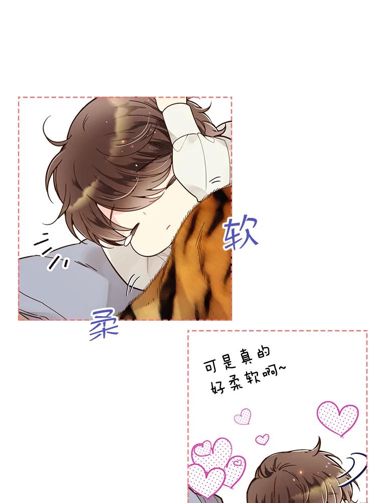 《比阿特丽丝》44.特利格的秘密 第34页