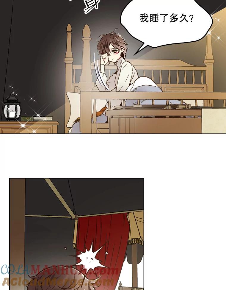《比阿特丽丝》44.特利格的秘密 第17页